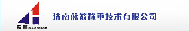 专业的电子吊秤生产商